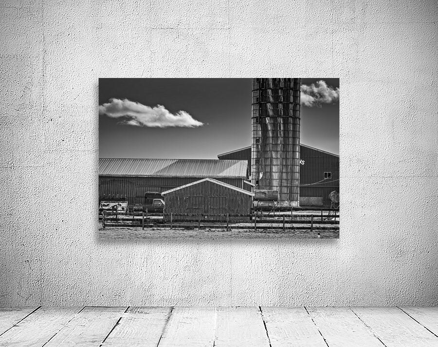 FS240302 BW Wall Preview