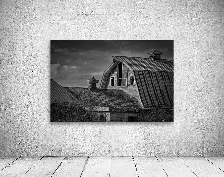 FS240223 BW2 Wall Preview