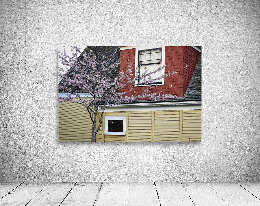 FS240319 Wall Preview