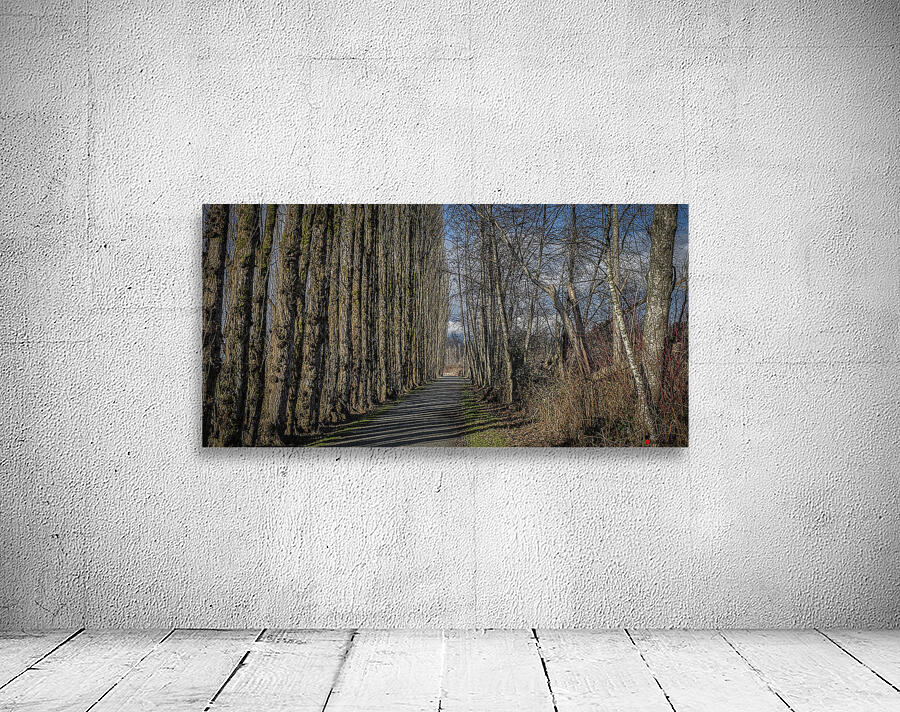 FS240207DW Wall Preview