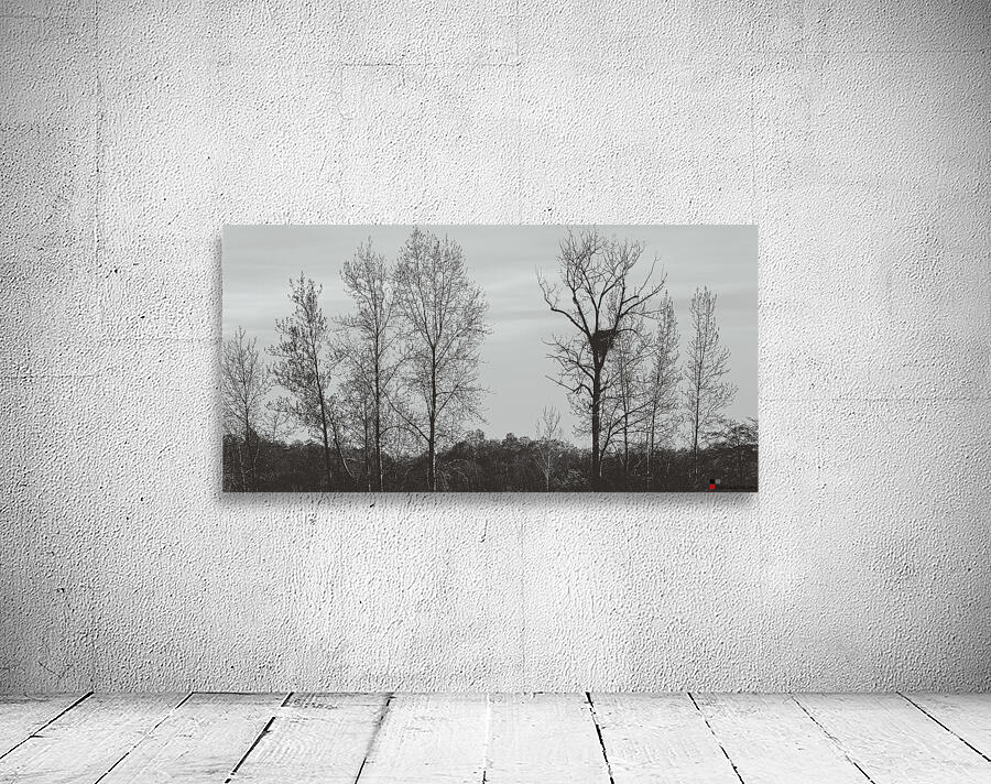 FS240405 BW Wall Preview