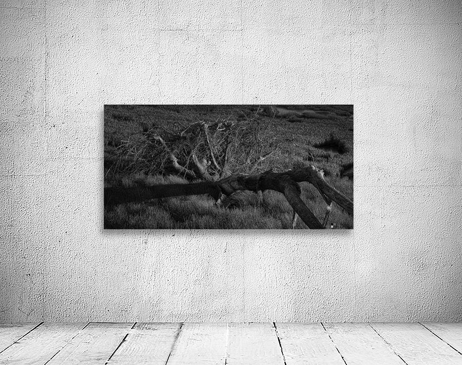 FS240430BW Wall Preview