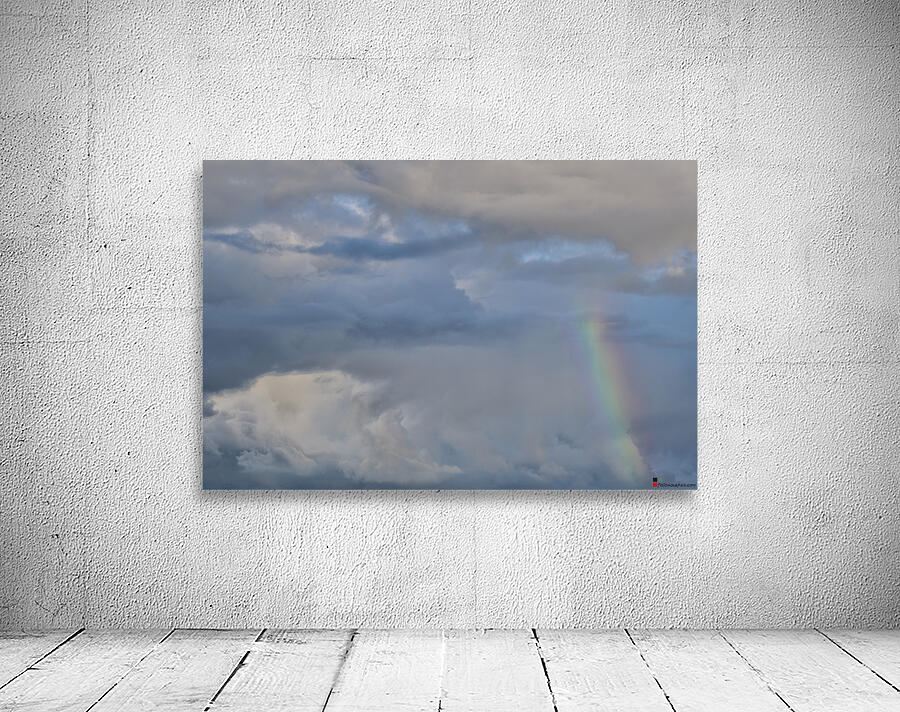 FS240615 RAINBOW Edit Wall Preview