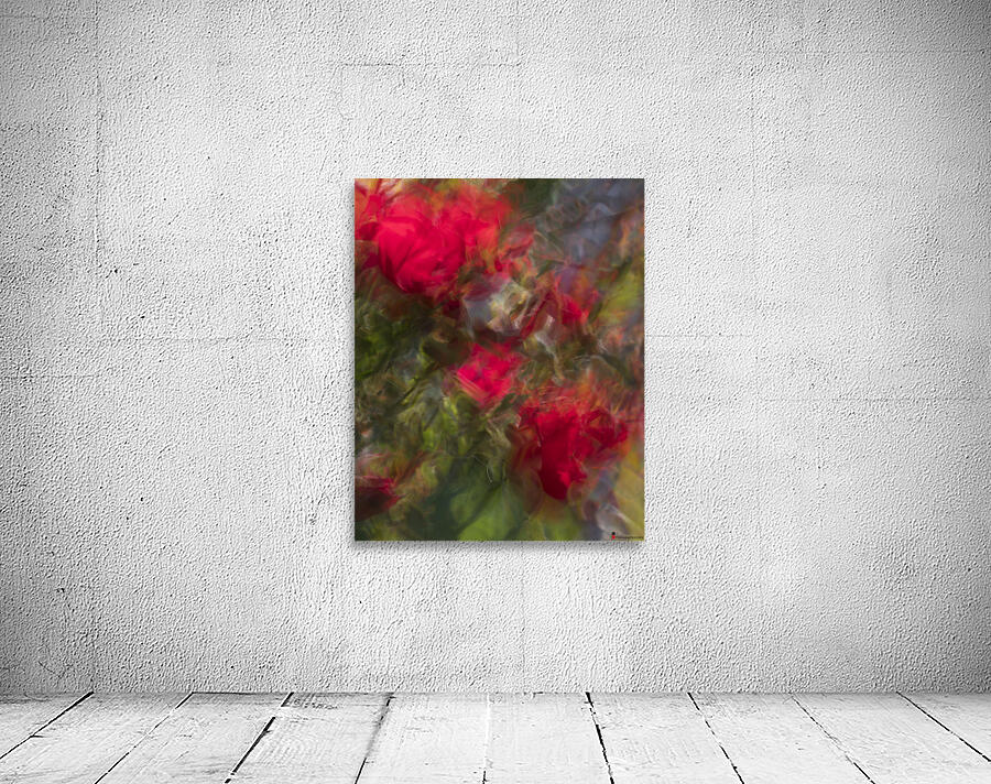 FS240615 Abstract Roses Wall Preview