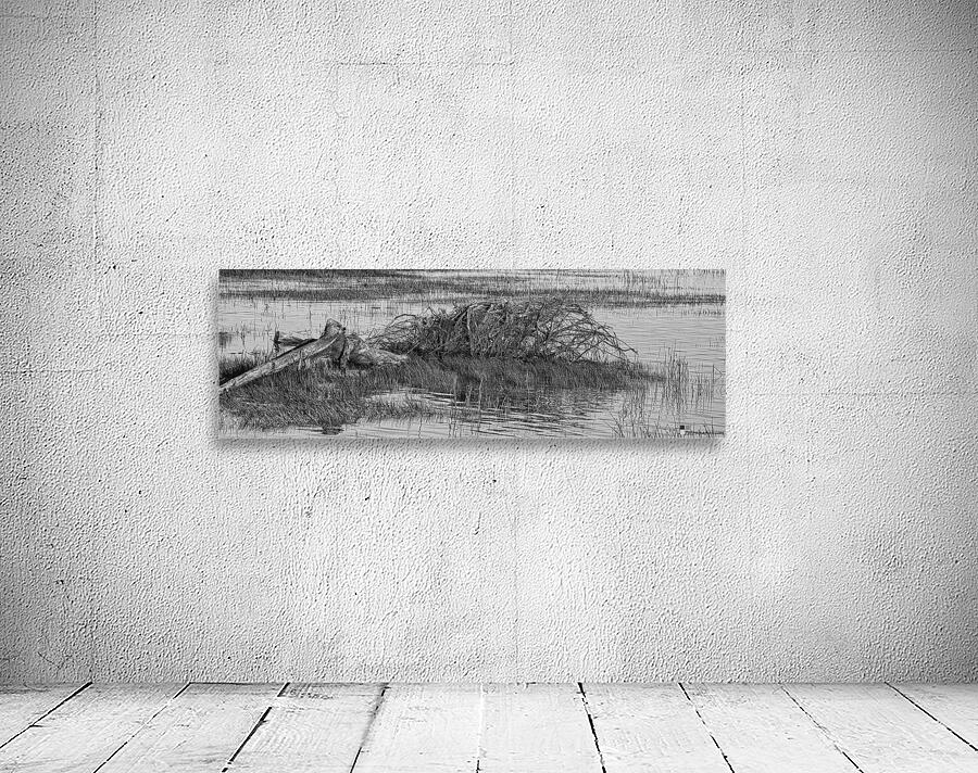 Driftwood Panorama 24 Wall Preview