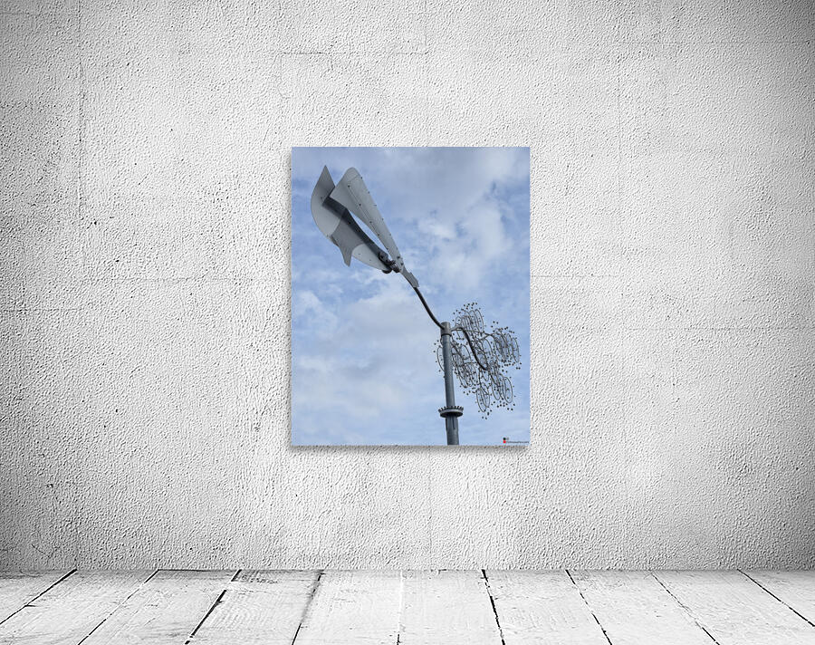 THE WIND 2024 Wall Preview