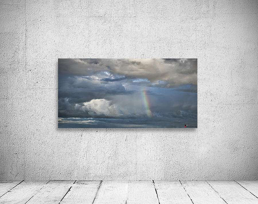 Rainbow and Airplane Wall Preview