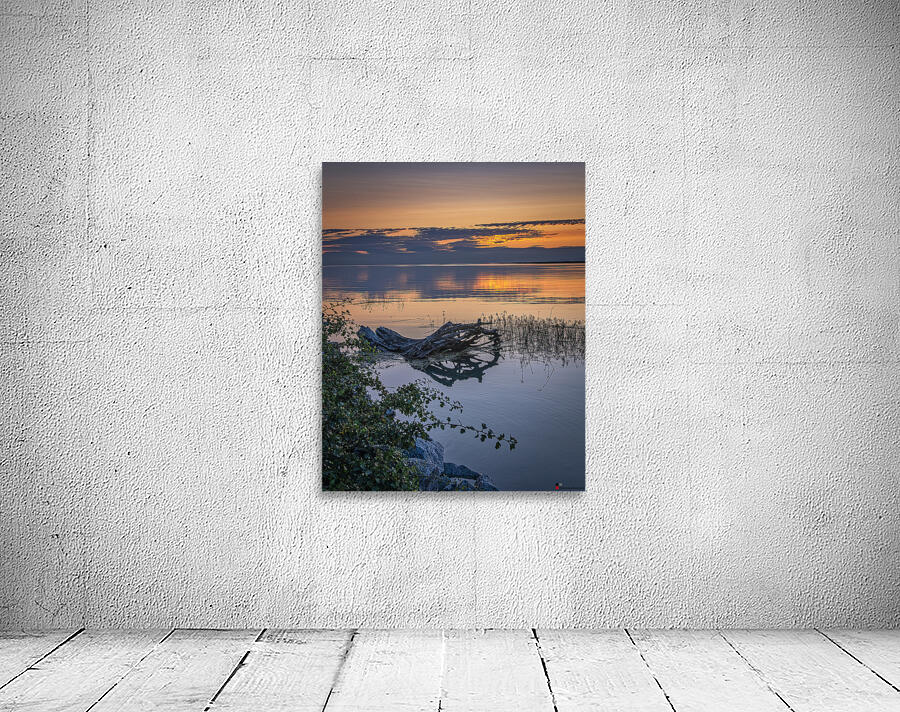Sunset at Terra Nova Wall Preview