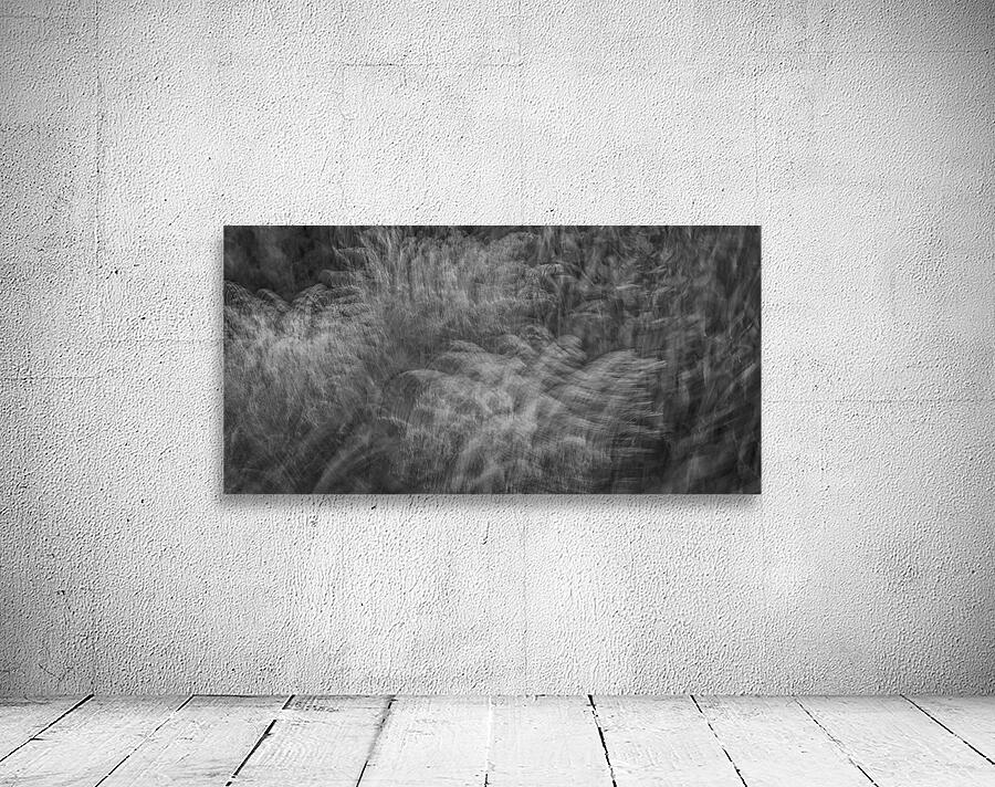 FS240816 WIND BLOWS Wall Preview