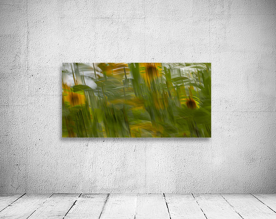 20240816 69 Wall Preview