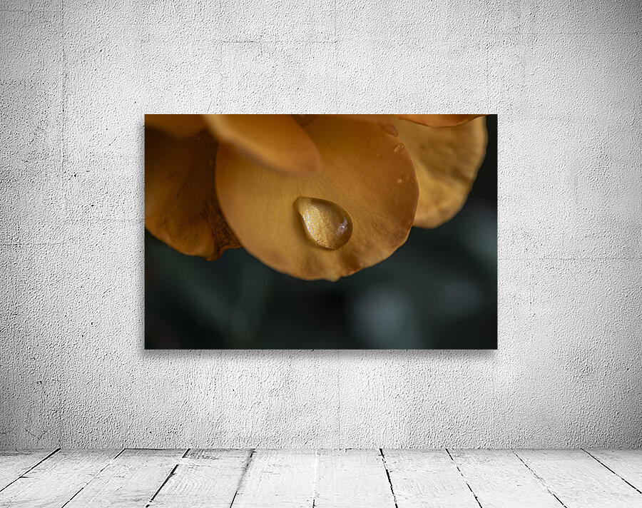 FS240818 RAINDROPS Wall Preview