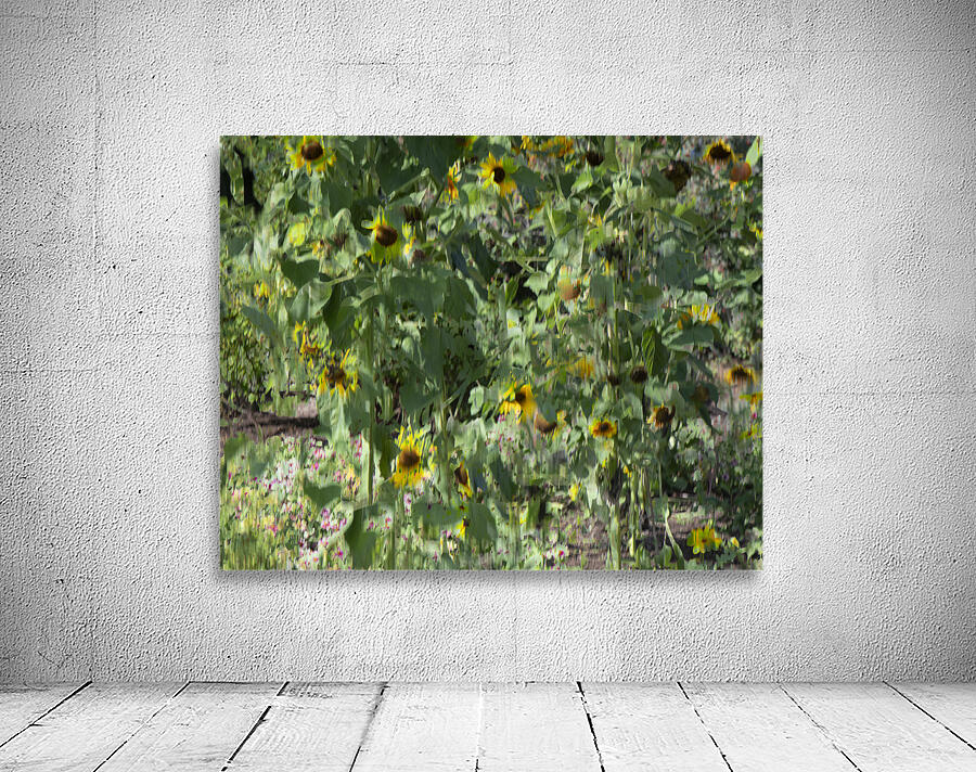 20240820 66 Wall Preview
