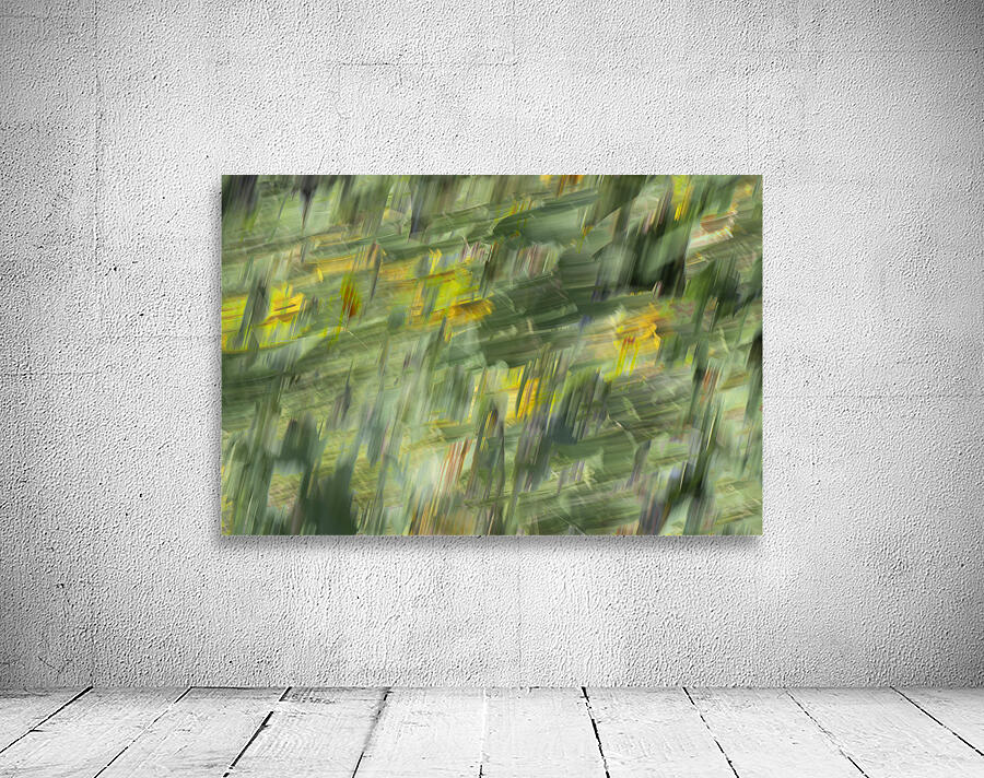 20240820 56 Wall Preview