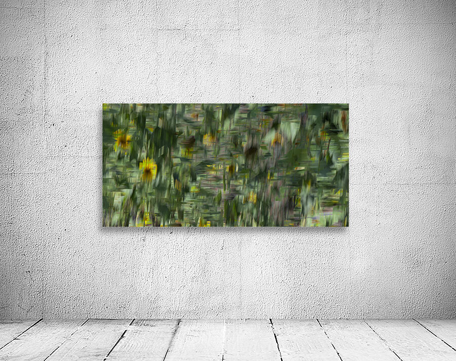 20240820 243 2 Wall Preview