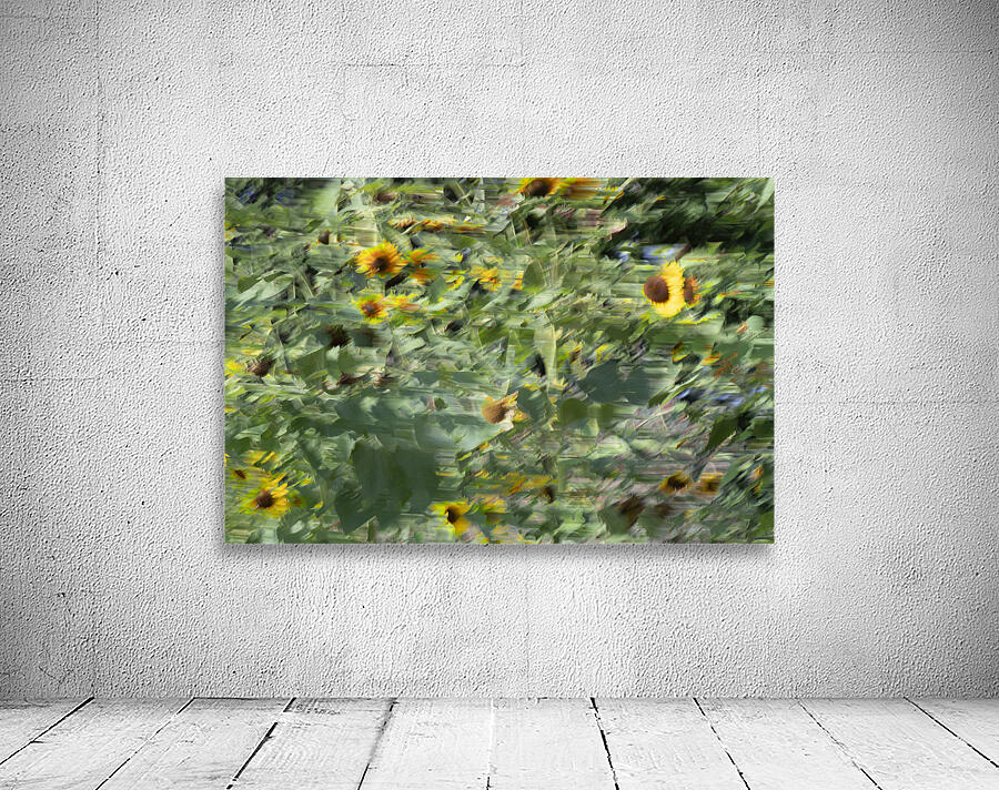 20240820 113 Wall Preview