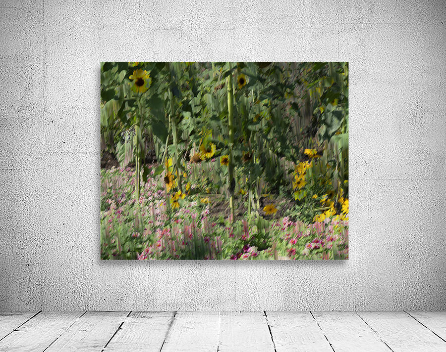 20240820 263 Wall Preview