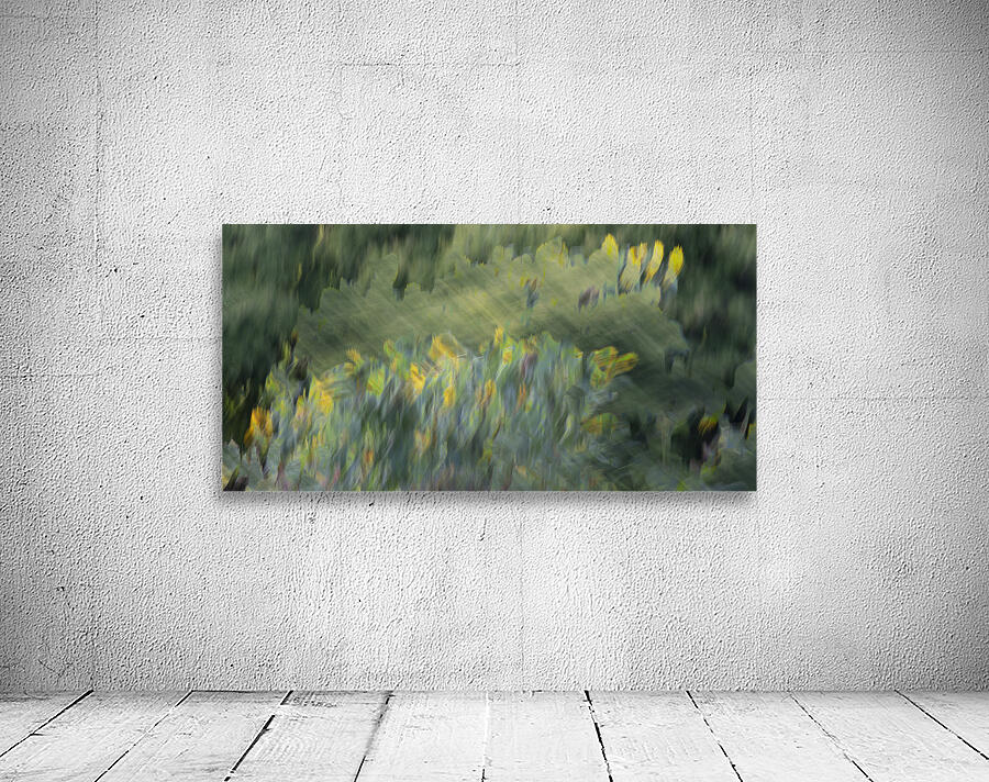 20240820 286 Wall Preview