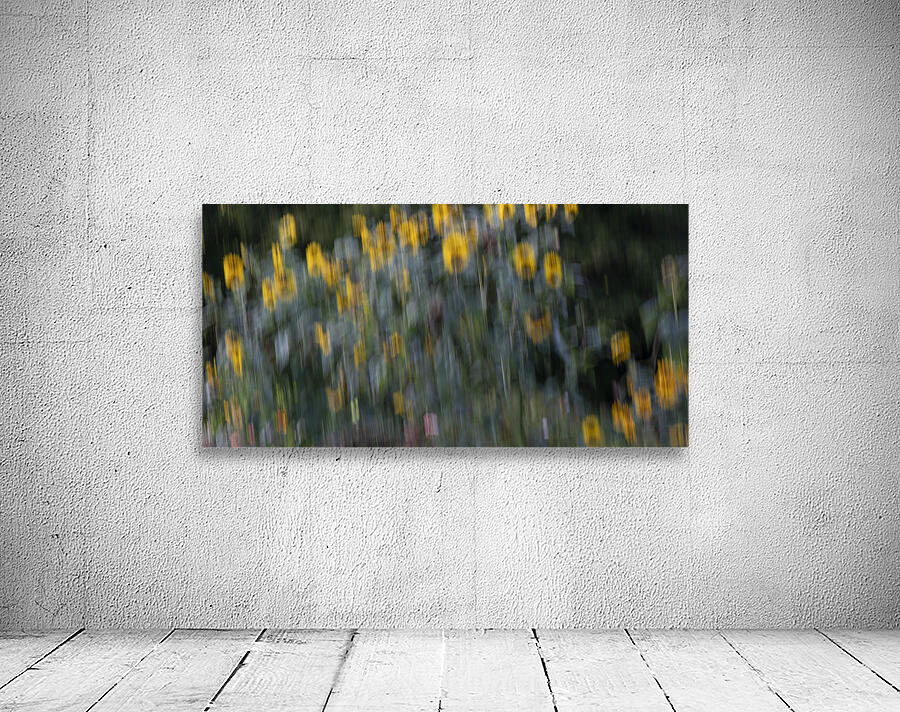 20240820 276 Wall Preview