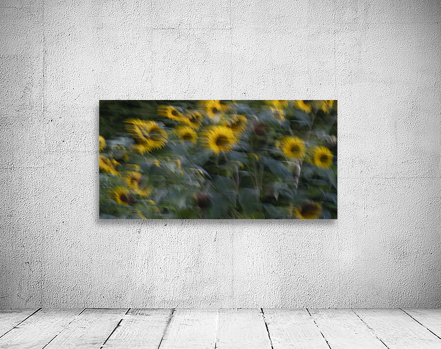 20240820 289 Wall Preview