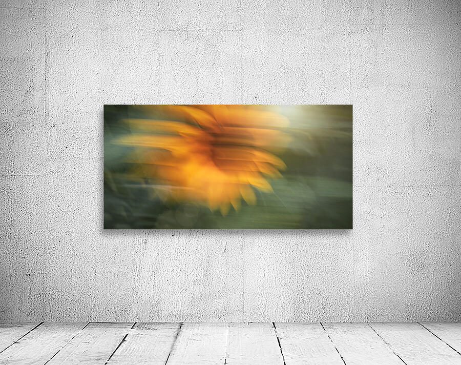 SUNFLOWER 2024 Wall Preview