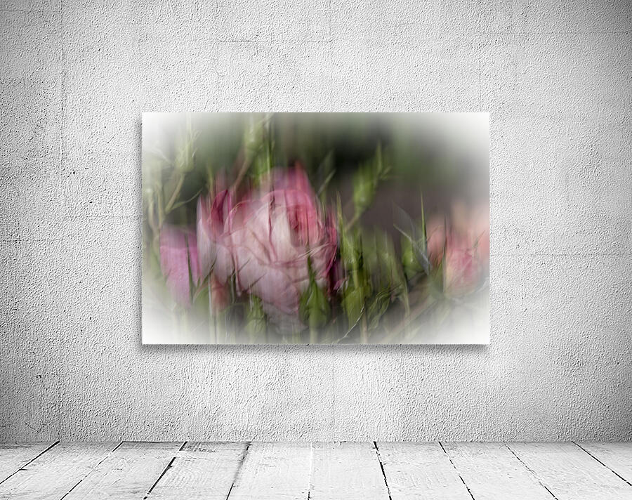 FS240825 ROSE Wall Preview