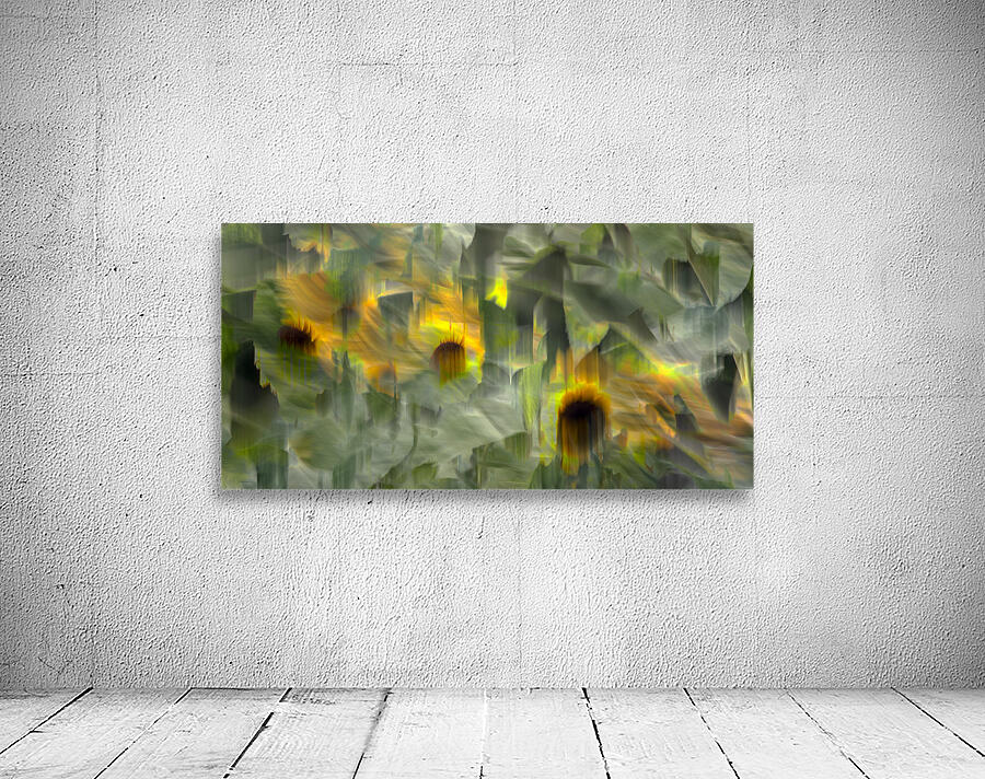 FS240902 SUNFLOWERS Wall Preview
