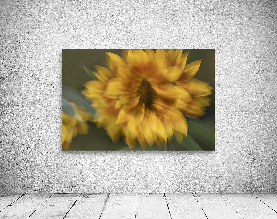 FS240907 SUNFLOWER Wall Preview