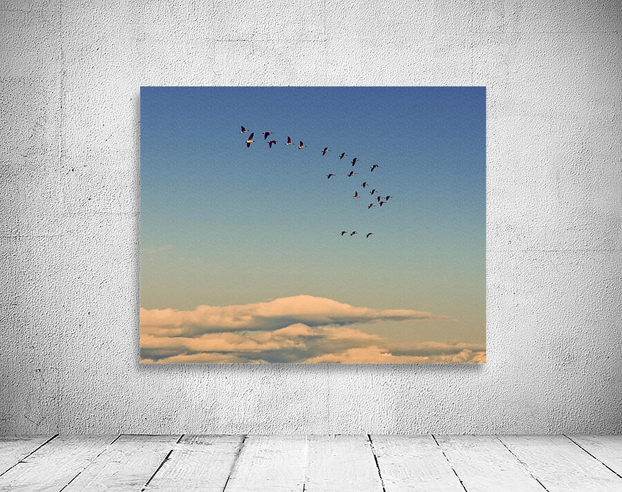 FS240929 GEESE Wall Preview