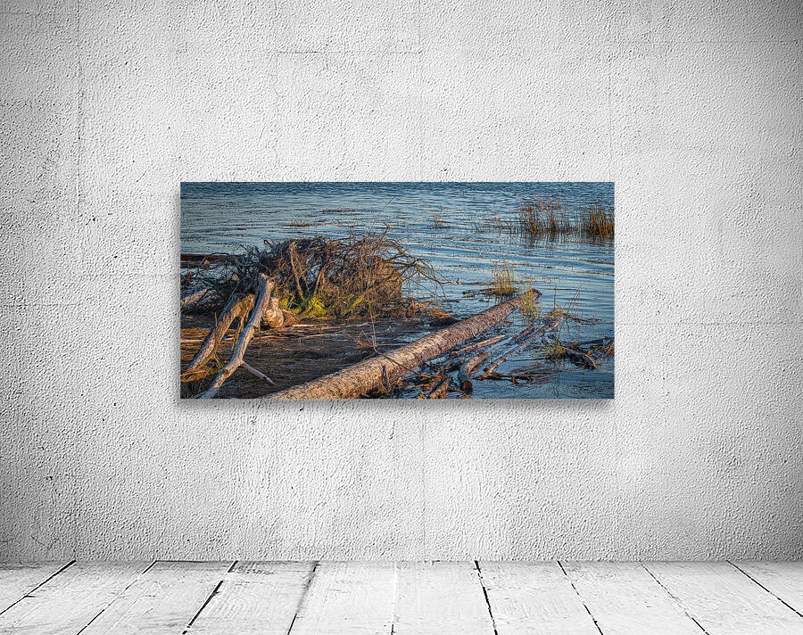 FS241002 24 Wall Preview