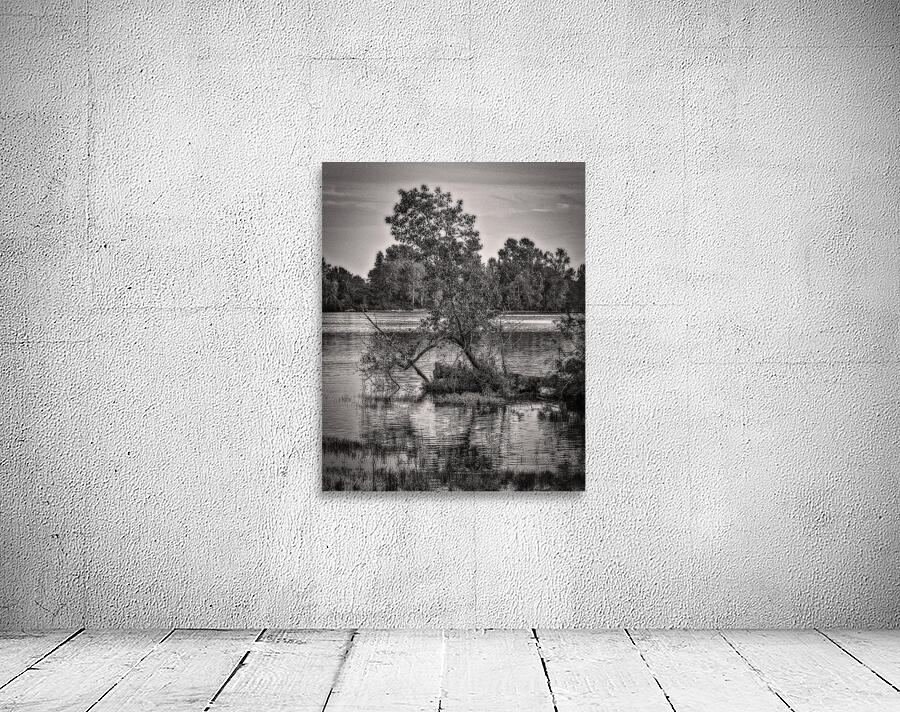 FS221006TONED Wall Preview