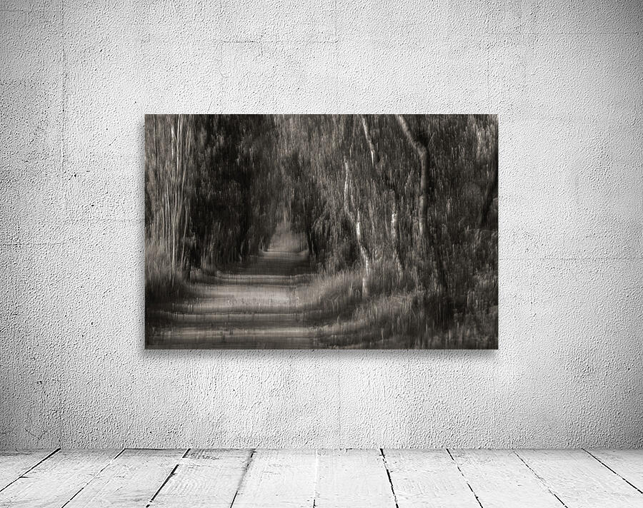FS240910 THE PATH Wall Preview