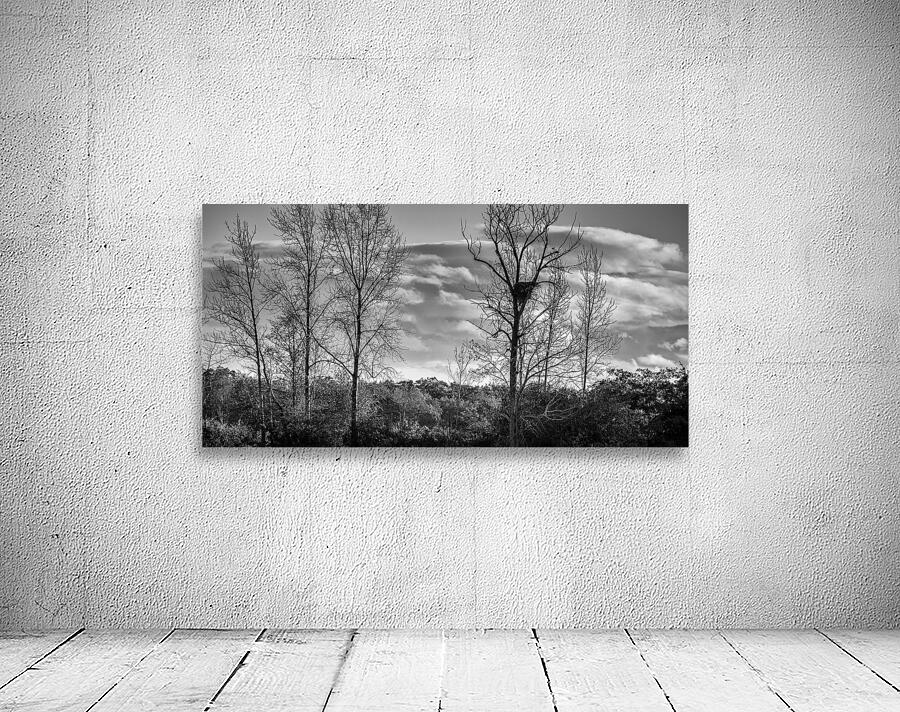 FS241004 EAGLE NEST Wall Preview