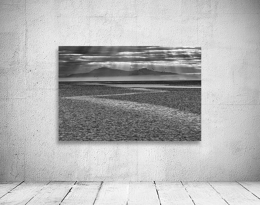 FS231012 171BW Wall Preview