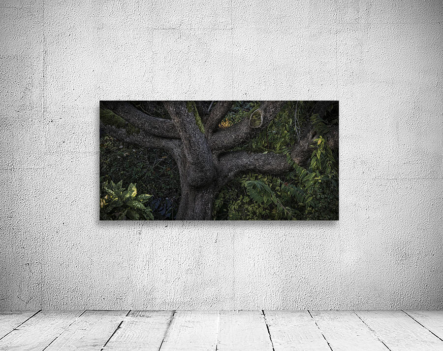 FS241203 THE TREE Wall Preview