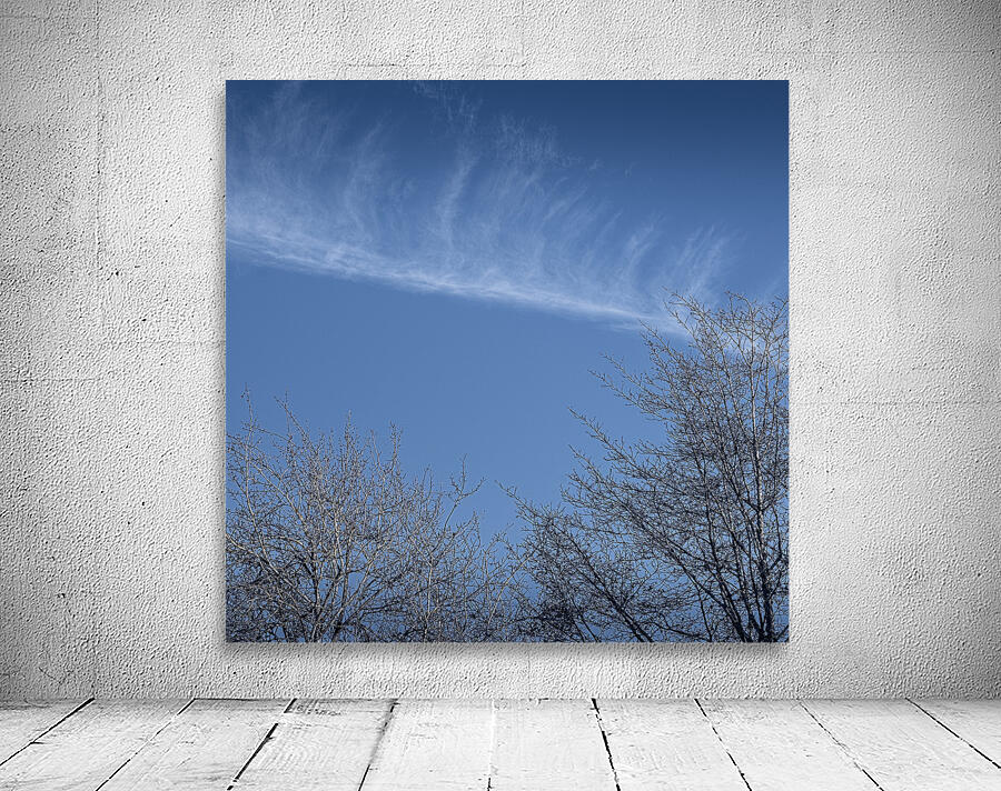 FS241105 CLOUDS CG5 Wall Preview