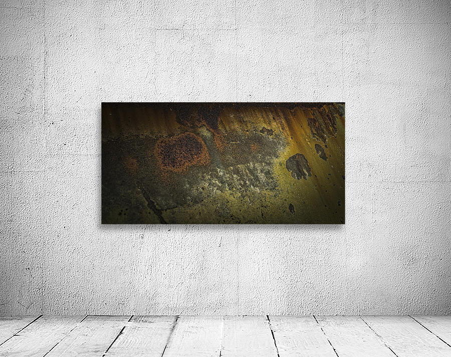 FS241114 RUST ART Wall Preview