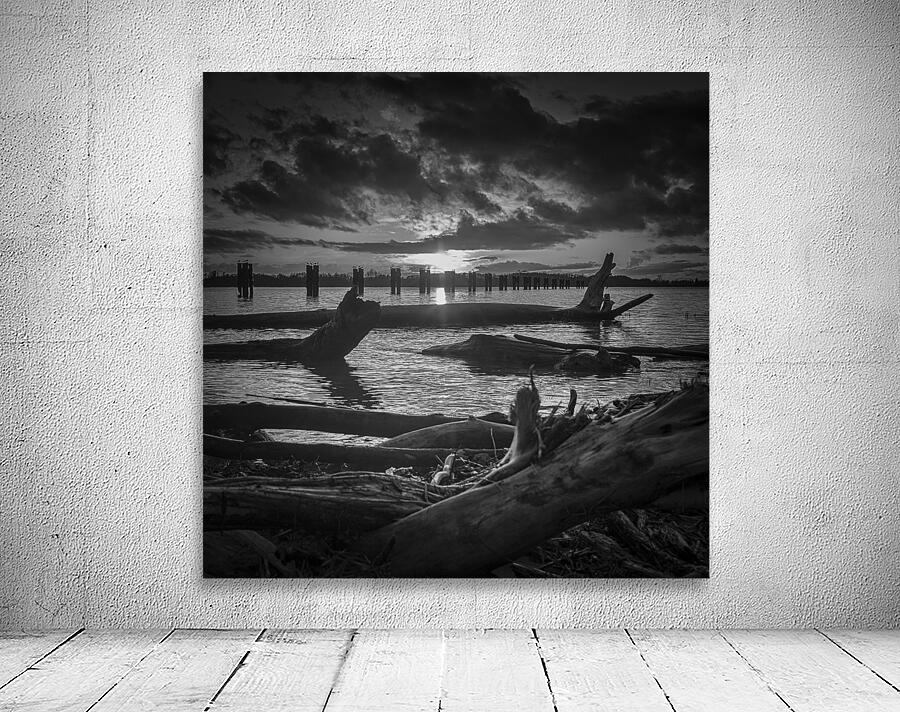 FS241114BW3 Wall Preview