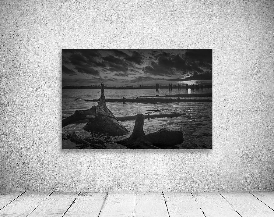 FS241114BW Wall Preview