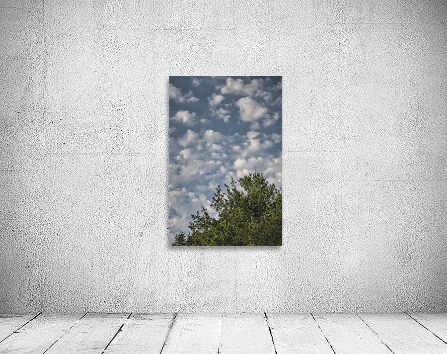 FS240802 CLOUDSCAPE Wall Preview