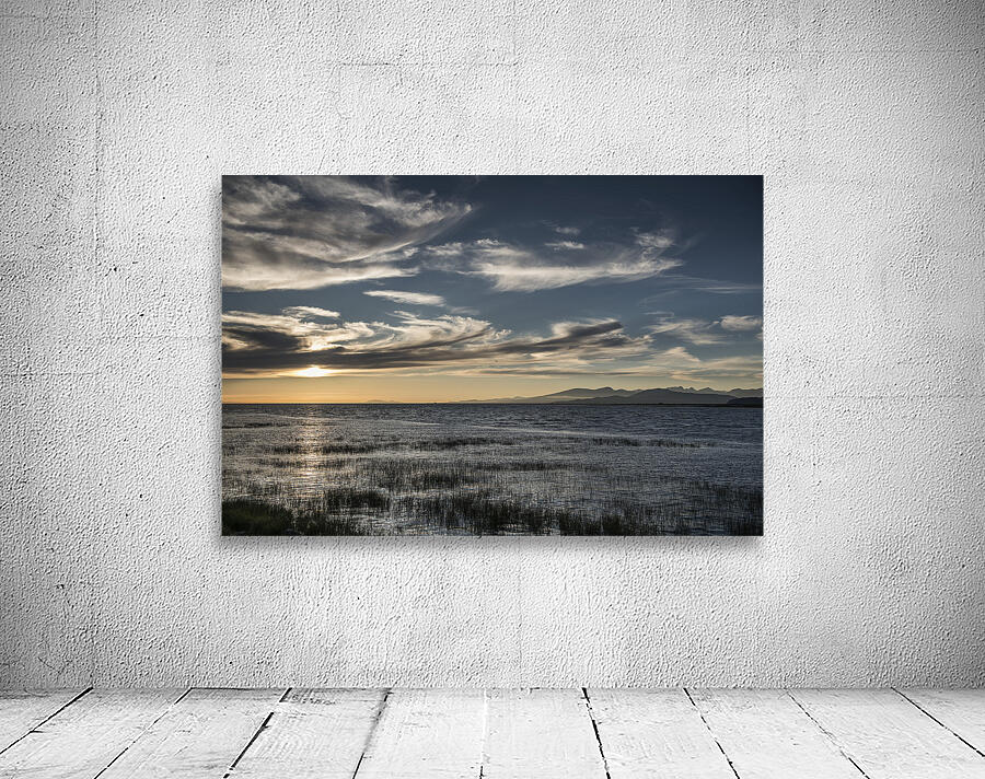FS240801 LANDSCAPE AT TERRA NOVA Wall Preview