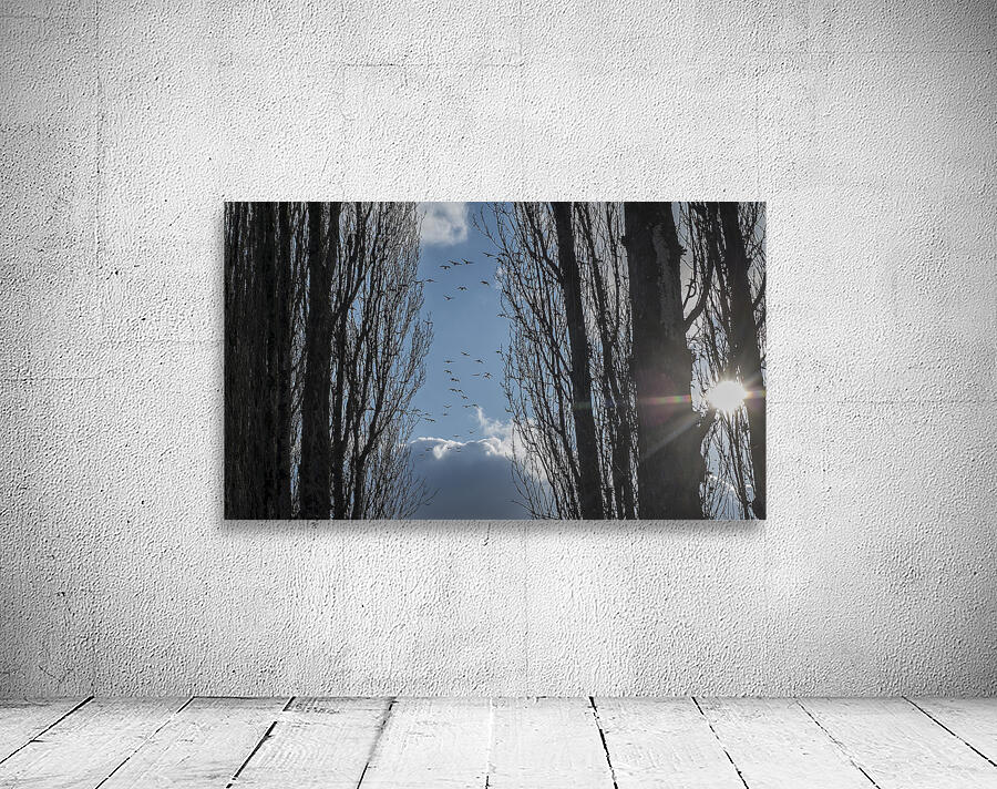 20240207 309 Edit Wall Preview