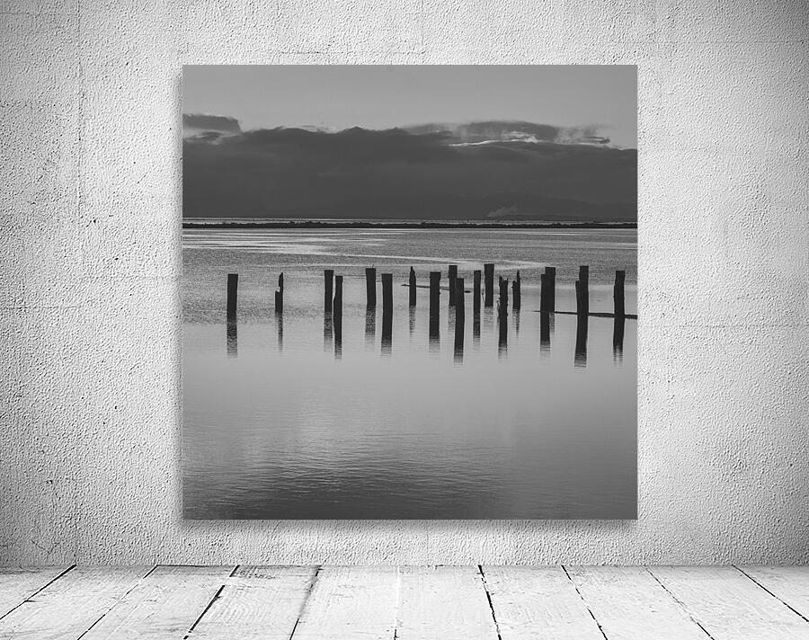 FS241226BW Wall Preview