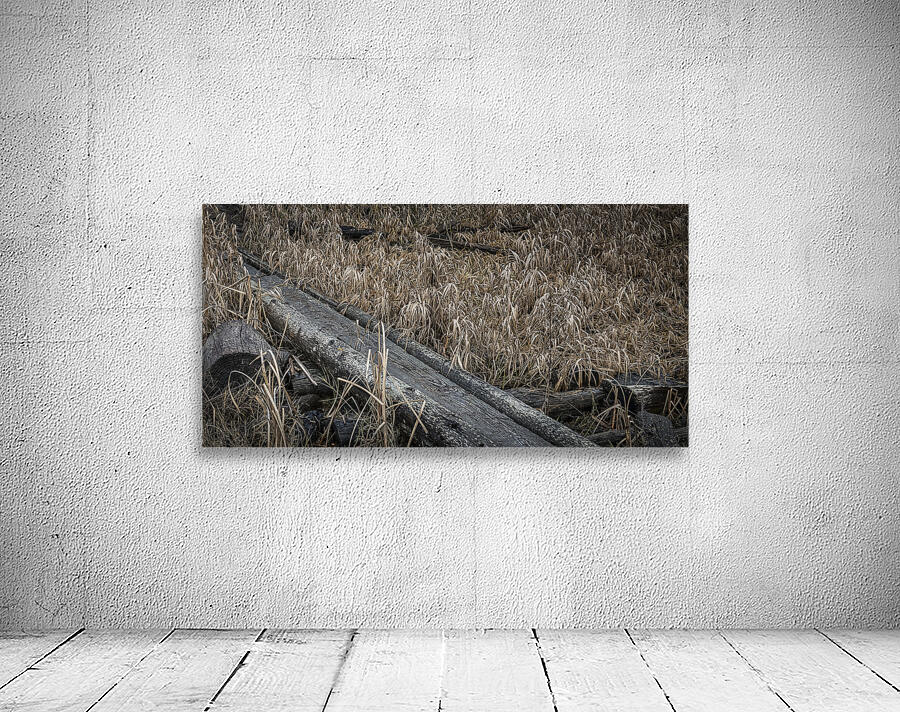 FS241227 A PATH Wall Preview