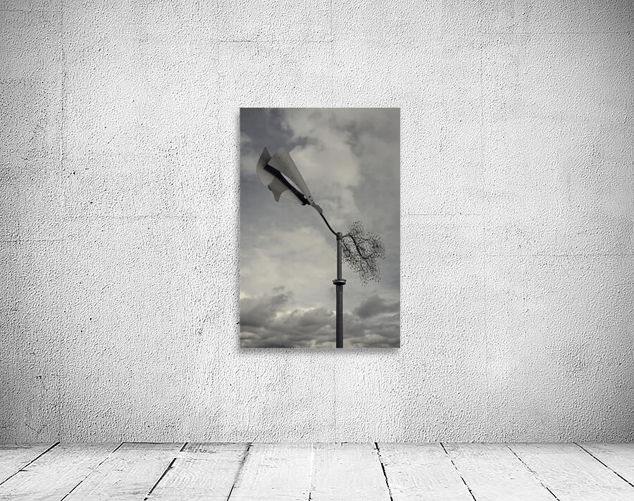 FS240229 36  Wall Preview