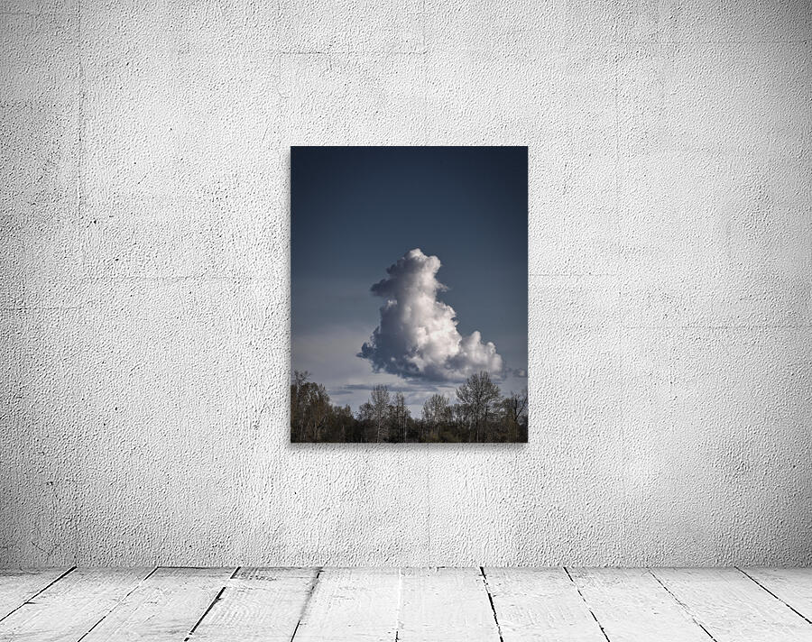 FS230419H CLOUDSCAPE Wall Preview