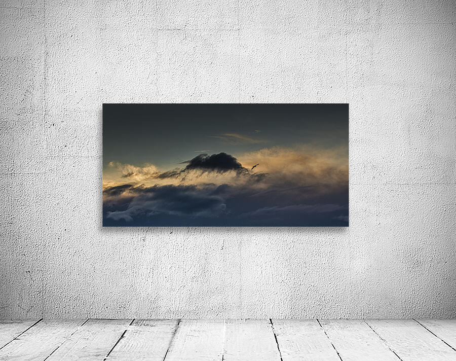 FS250201 FREE AS THE WIND Wall Preview