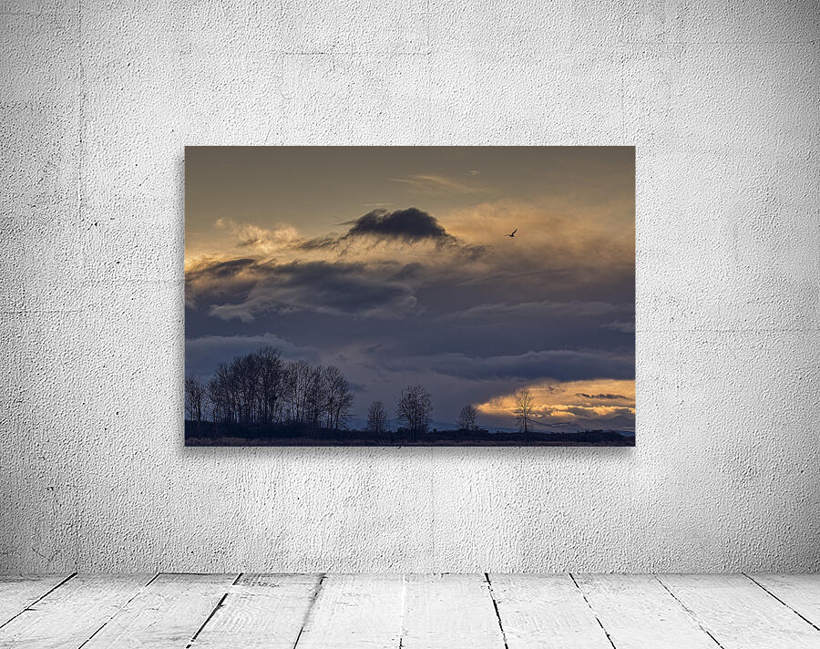 FS250201 SUNSET AT IMPERIAL LANDING Wall Preview