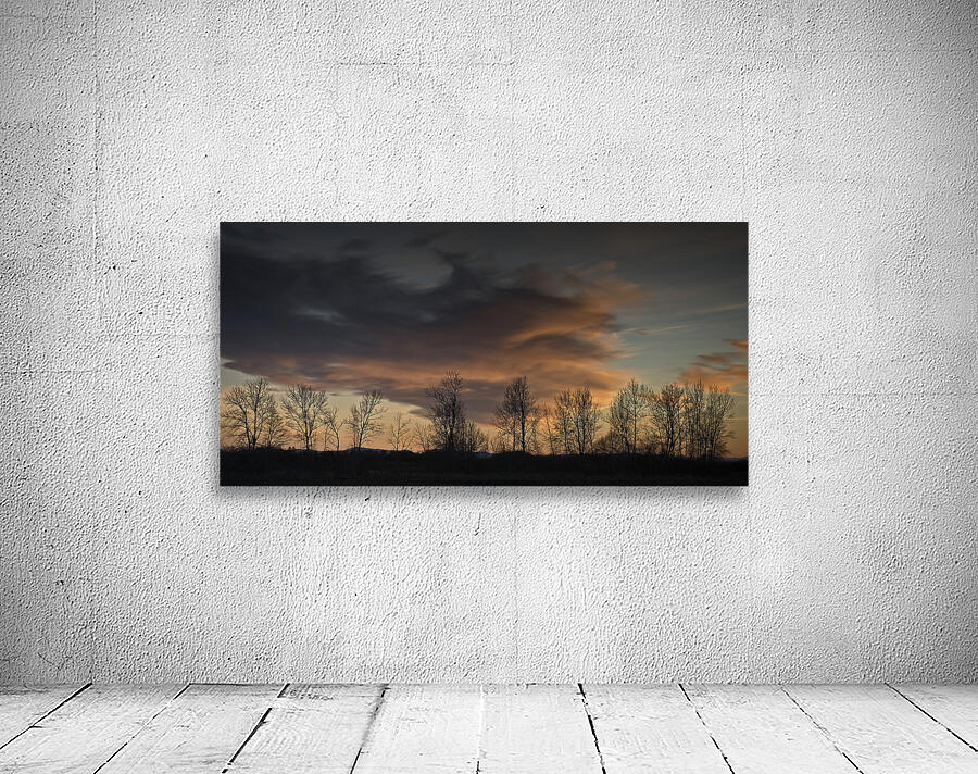 FS250125DW Wall Preview