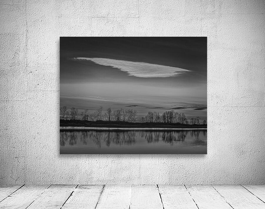 FS250121 WHITE CLOUDS 2 Wall Preview