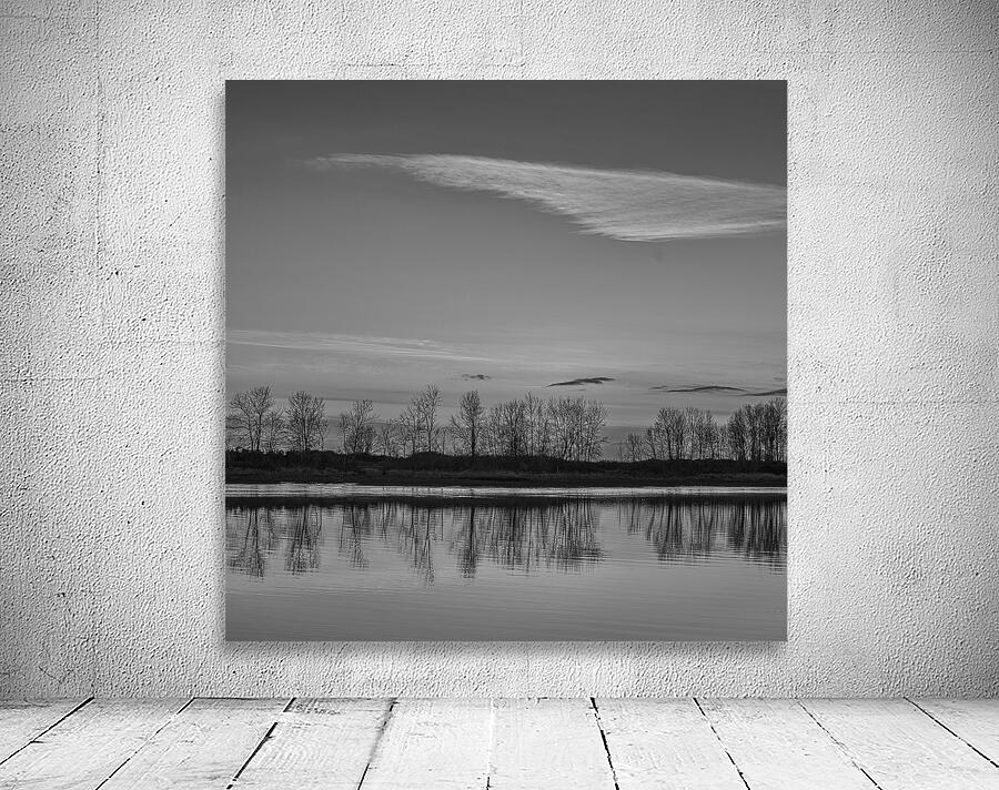 FS250121 BW CLOUDS Wall Preview